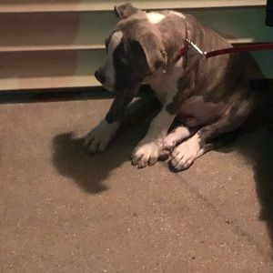 Meet your Posher, Kenton